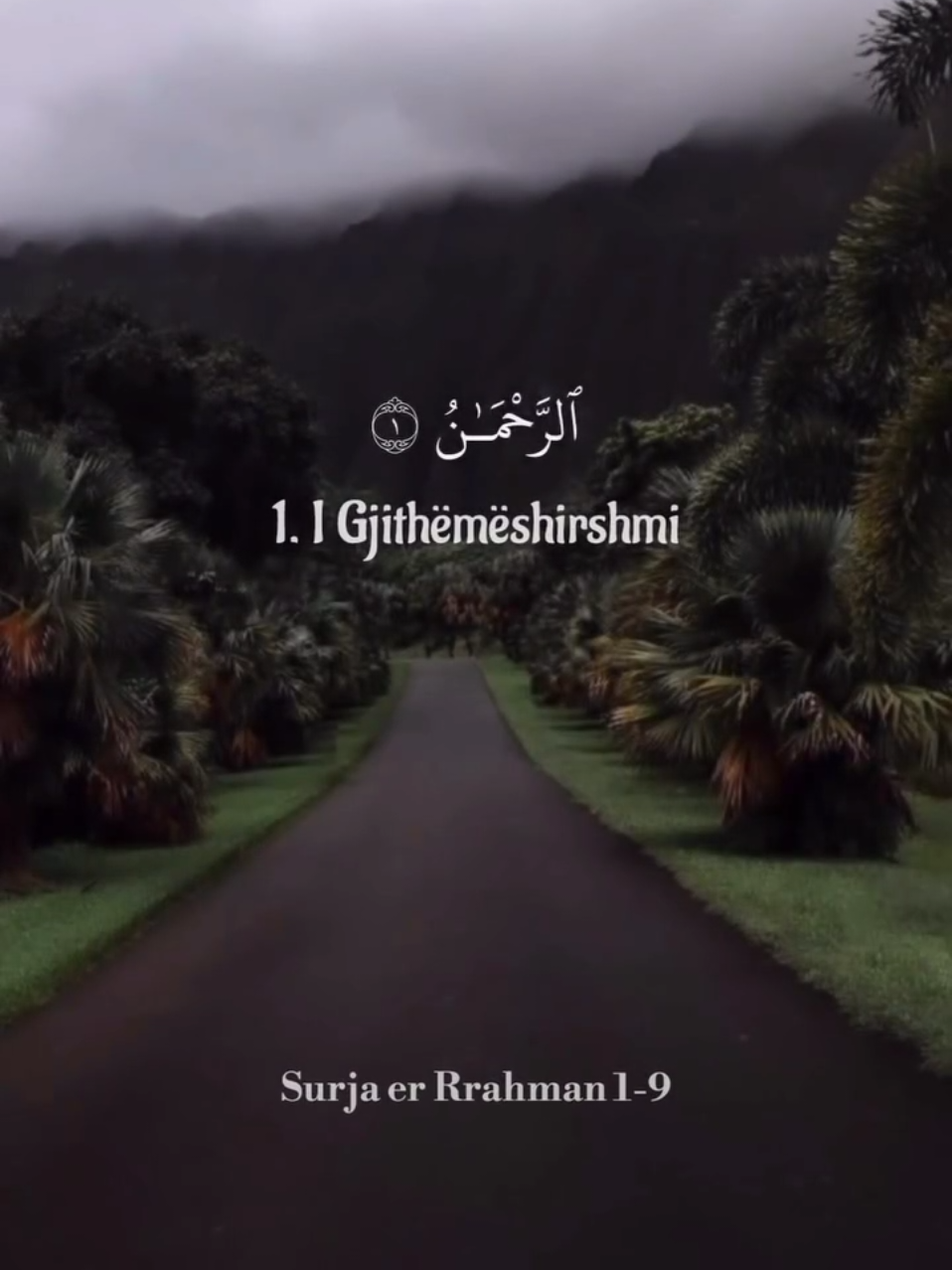 Surja Rrahman ajeti (1-9)