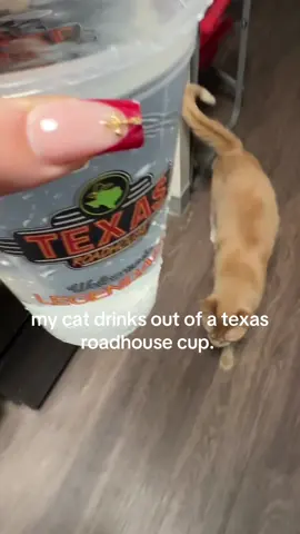 it all started with him refusing his water fountain… 