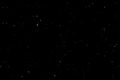 اروح المدرسة واجب الكاه صاعد+اطلبووو😡🔪 #رفل #تصميم_فيديوهات🎶🎤🎬 