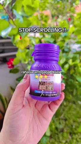 😍😍 #sulem #makkata 