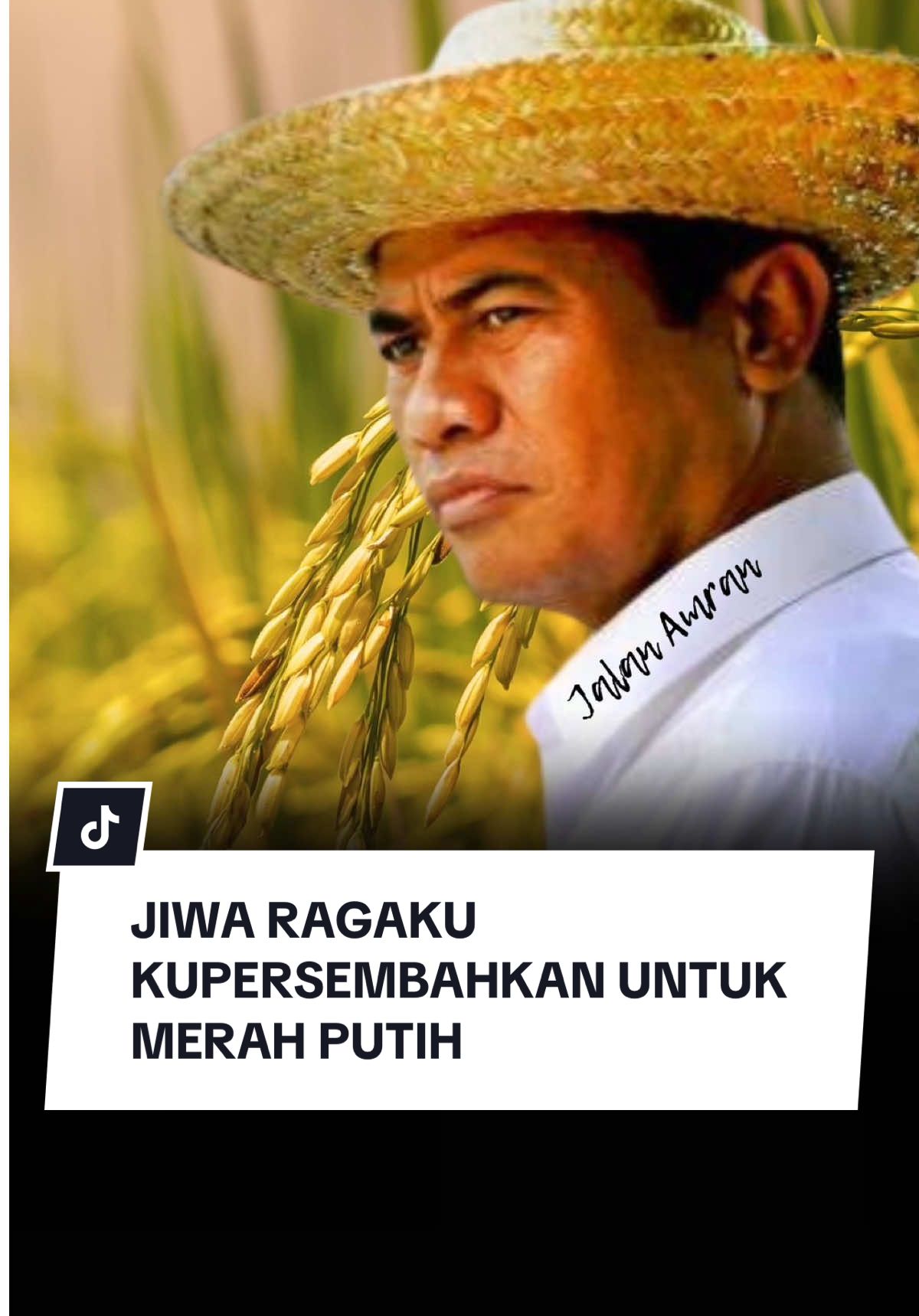 #amransulaiman #mentan #petani #jalanamran 