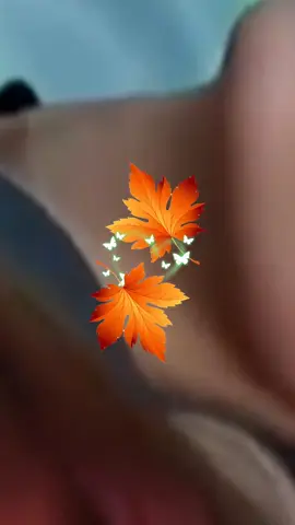 @lidiachetronie 