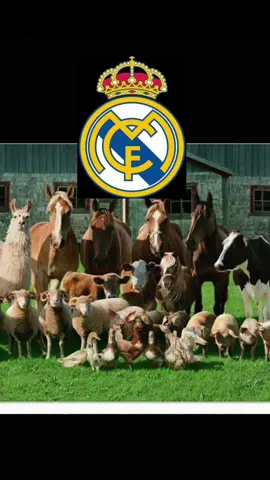 يقال أن هذه هي أفظل تشكيلة ريال مدريد هذا الموسم#تشكيلة #ريال #مدريد #لاليغا 