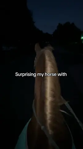 IMMM DYINGGG #fyppppppppppppppppppppppp #funny #foryoupage #viralvideo #horse 