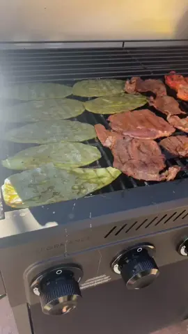 Se iso la carnita asada con la bélica  #carne #carneasada @Graciela & Malcriado @Compa Munchies #salsa #mexicanfood #fyp 