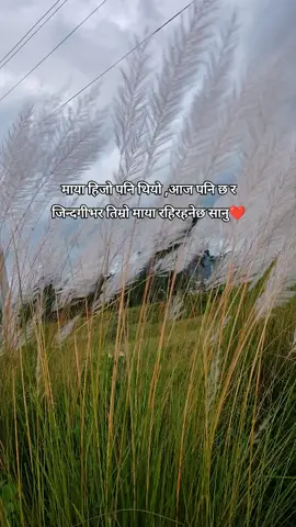 तिमी जति नै रीसायर नबोले पनि मेरो माया तिमी प्रती कहिले कमि हुने छैन सानू 💝💝💐❤️😥