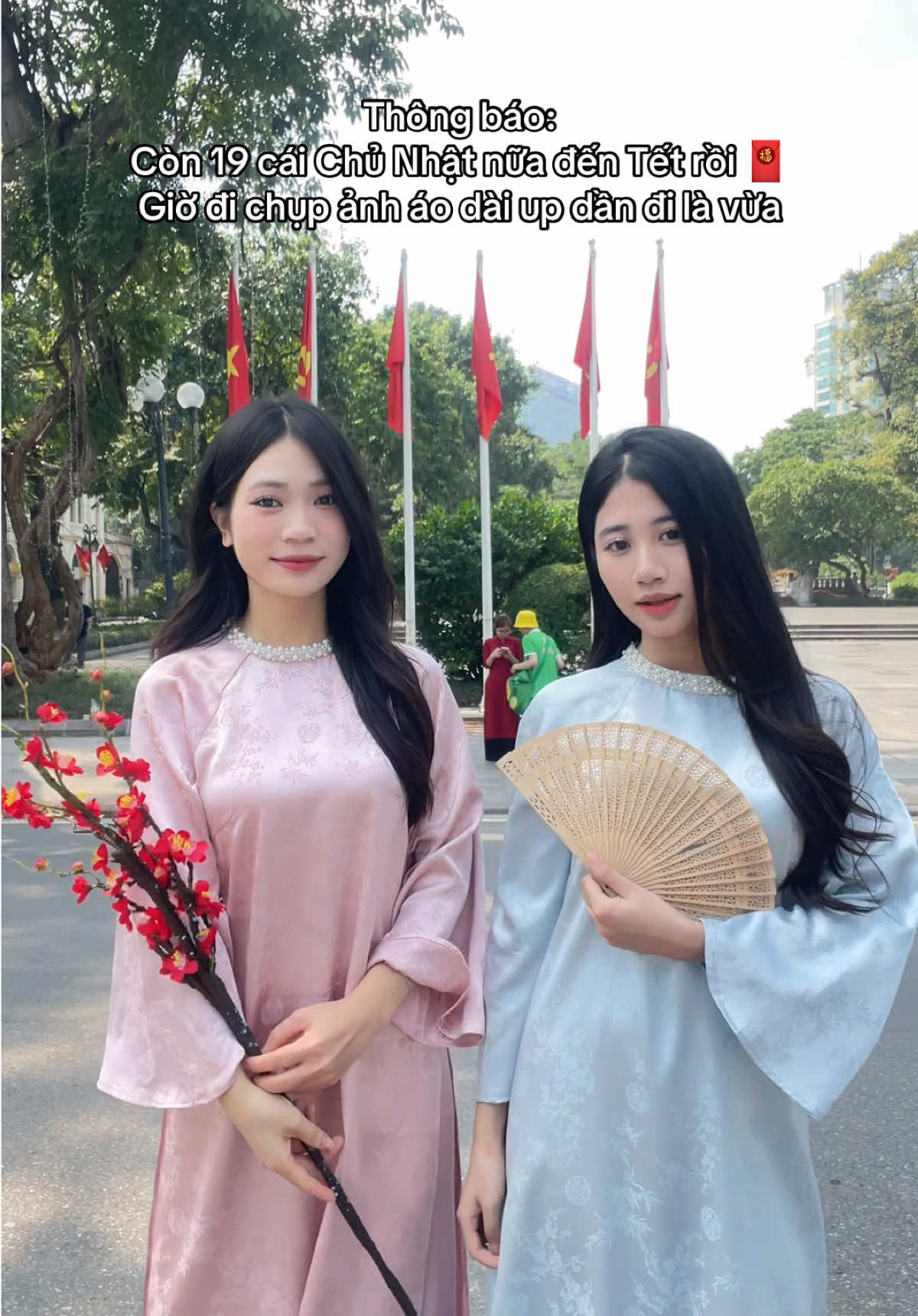 Đi chụp ảnh Tết nhanh đi kh là muộn đóooo #tet2026 #xuân #tết #tet2025