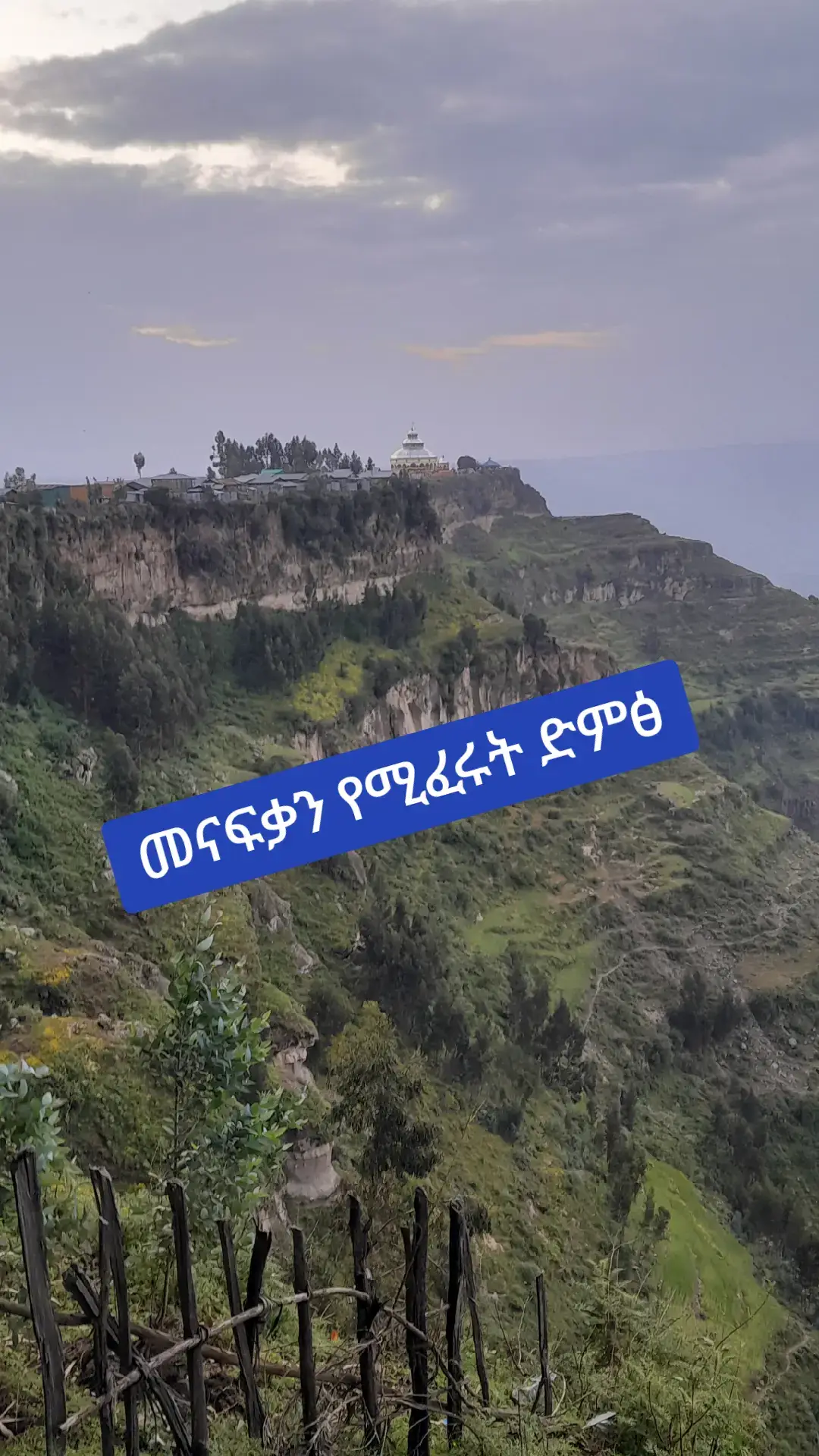 #እግዚአብሔር_ኢትዮጵያን_ይባርክ❤❤❤ #vaiprofycaramba 