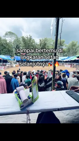 #promoseruweekend #kptstoraja🐃🐃 #fyp #adattoraja #kpts #toraja #tedongsilaga #kerbaukontes #kerbaukontes 