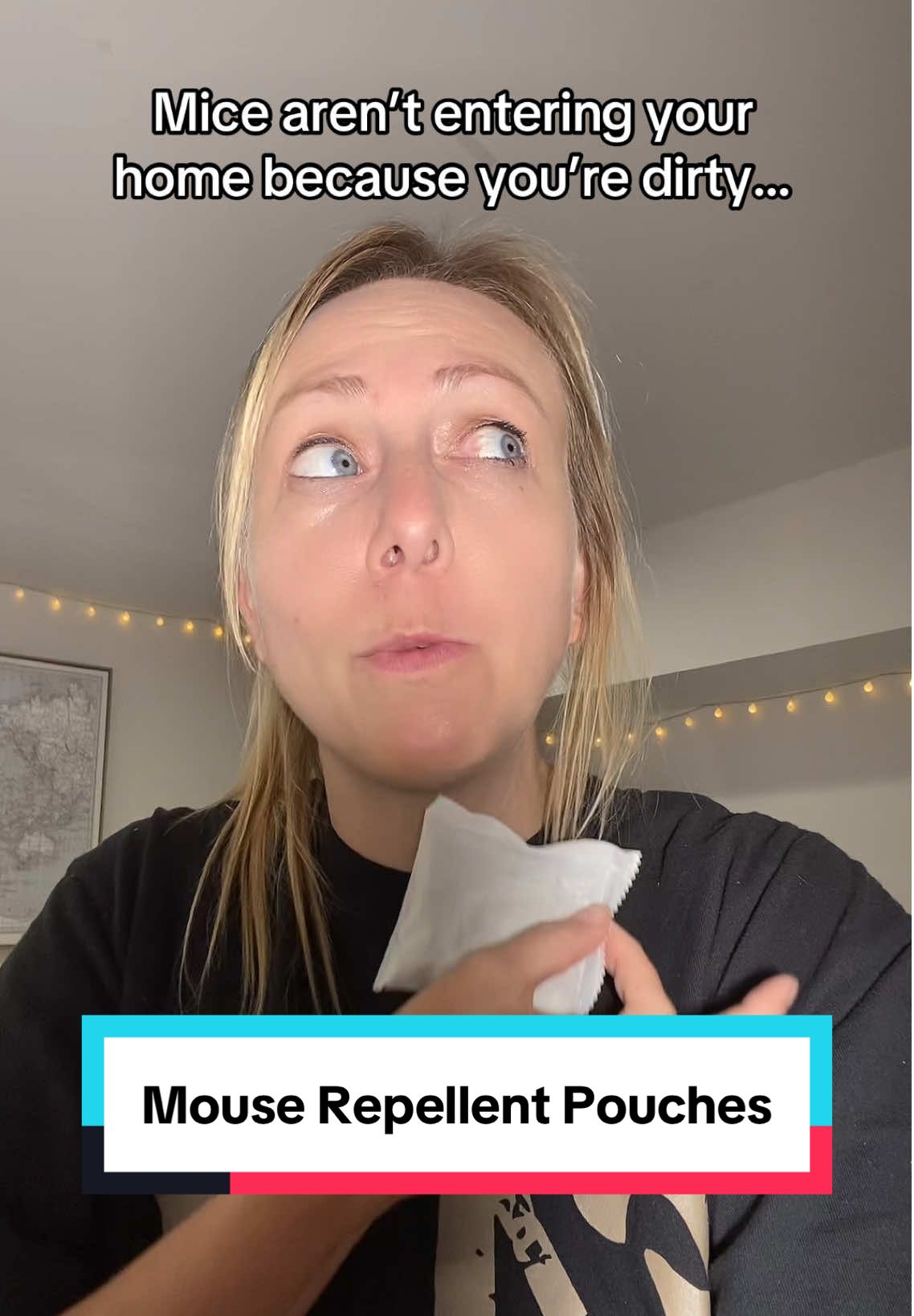 Mice aren’t entering your home because you’re dirty. They’re entering your home because it’s warm and cozy. Use mouse repellent pouches - these contain cinnamon and peppermint!  #mouserepellent 