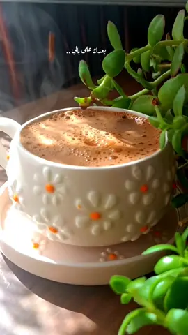 يا زهرة تشرين .. 🌼 #بدون_موسيقى #your_coffee #صباح_الخير #بعدك_على_بالي #فيروز 