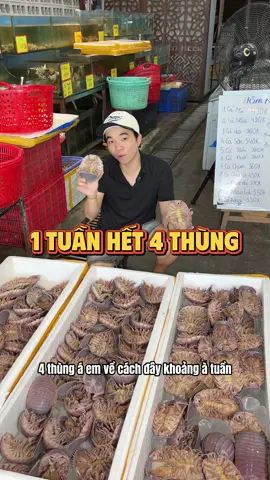 Cơ hội thưởng thức bọ biển chỉ với……