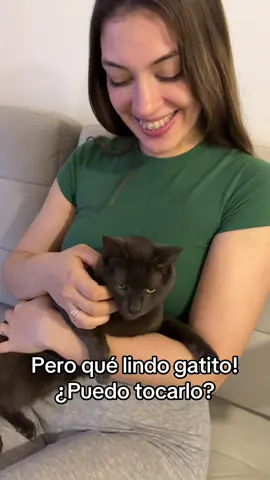 Acariciando un gatito  🐈‍⬛ 
