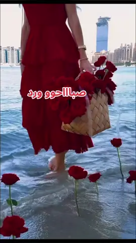 #صبااحكم_رايق_وجميل🌺🥀 #العراق_السعوديه_الاردن_الخليج #الكويت #تونس_المغرب_الجزائر_ليبيا_ 