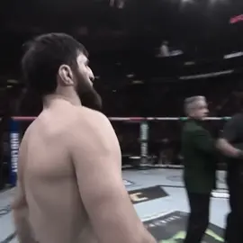 #fyp #UFC #magomedankalaev #alexpereira #knockout 