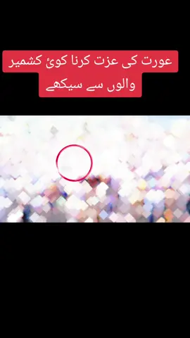 عورت کی عزت کرنا کوئ کشمیر والوں سے سیکھے 😍#Highlight💘💘 
