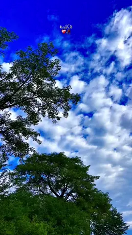 #🍂میرا-سونا_ پنڈ_لنگے-ضلع -سیالکوٹ🌅🍃❤️🌾#shabanhaider1000✅🌱 #foryoupage #unfrezzmyaccount 