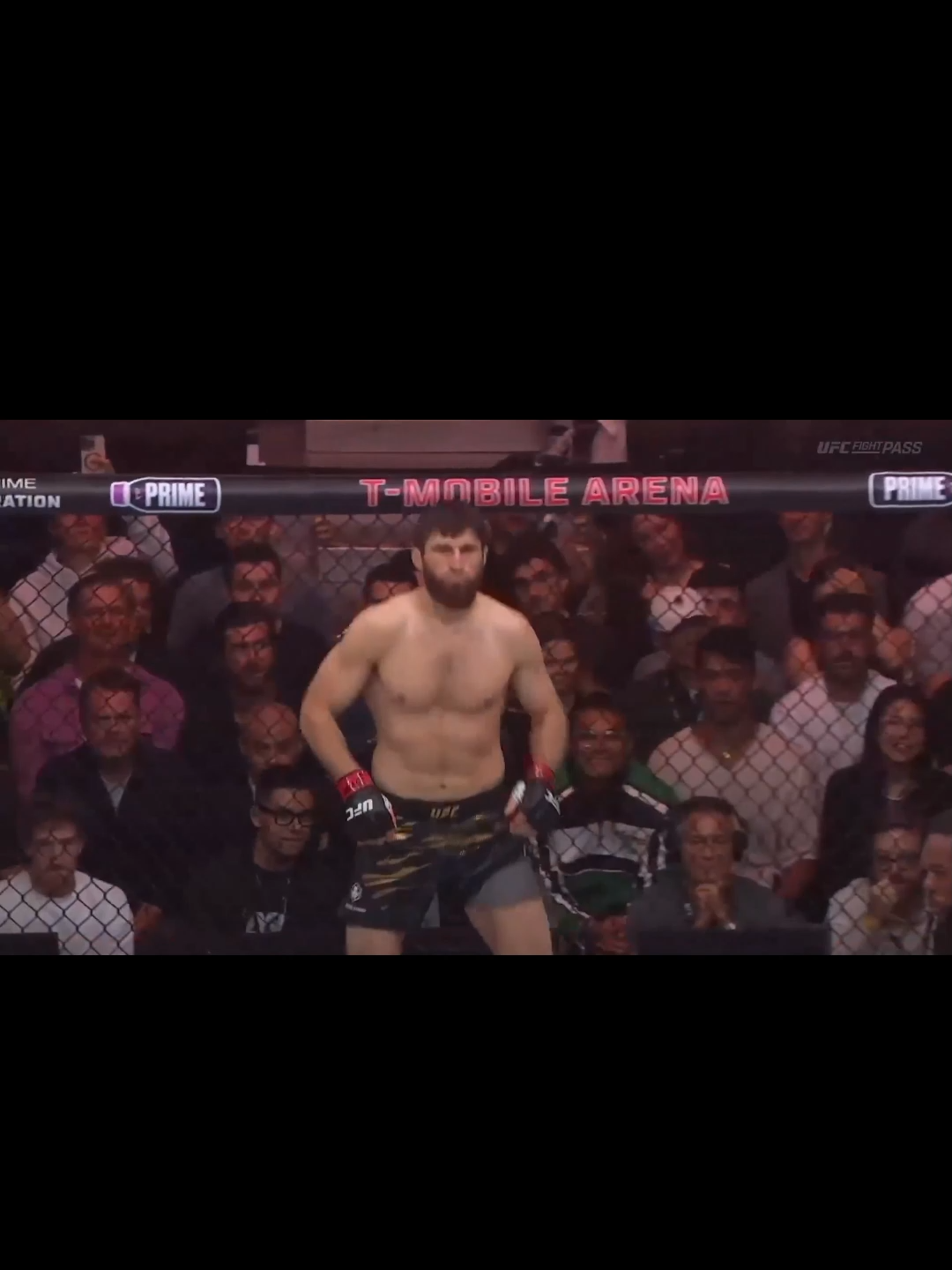 POATAN AMASSOU O ANKALEV!! #UFC #ULTIMATE #POATAN #alexpereira #CHAMA