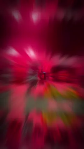 Đêm hôm qua.. #CapCut #Tuyetanhdao #mualan #lân_sư_rồng 