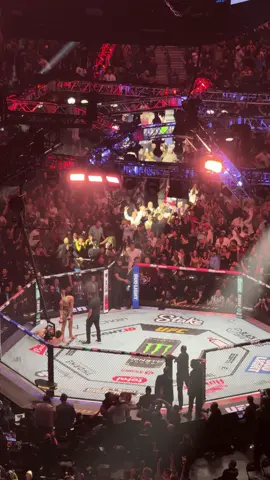 CHAMA 🗿#ufc320 #UFC #alexpereira #fyp