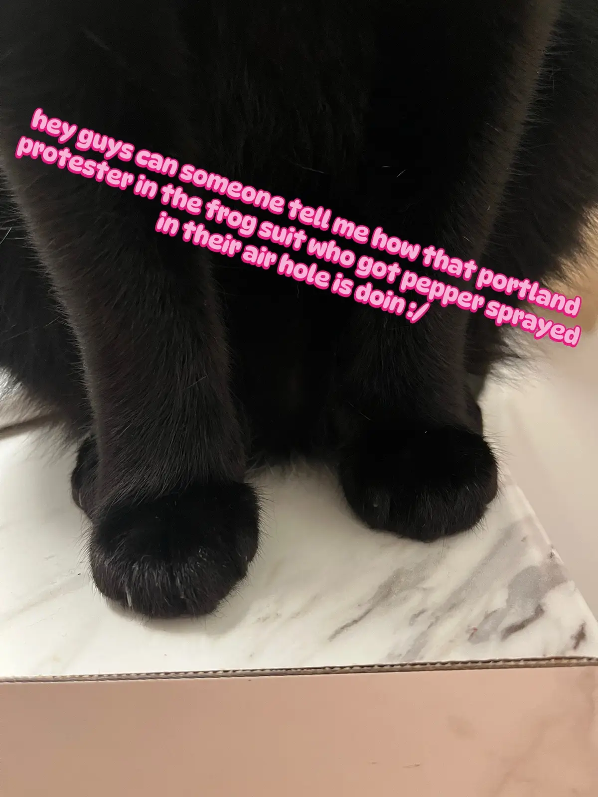 thinkin bout portland frog :/ #portlandoregon #portland