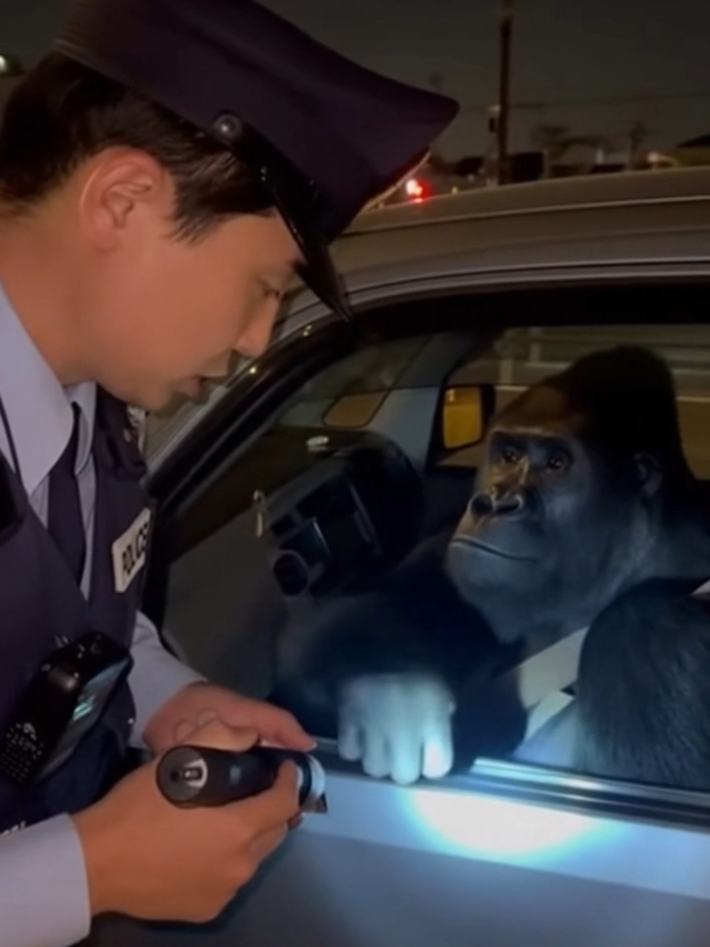 警察が不審な車を職務質問したらゴリラだった #sora2