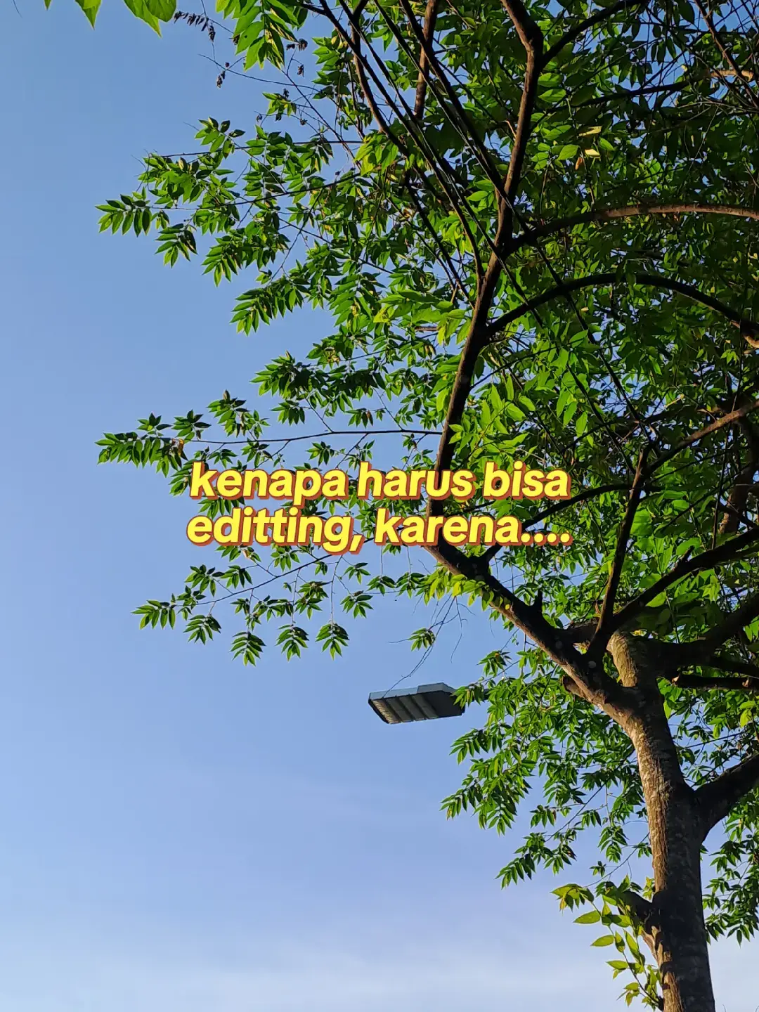 edit by lightroom #fyp #editting #lightroom #colorgrading #trend #masukberanda 