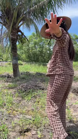 Để kéo cái quần lên bẻ trái dừa coi  😂
