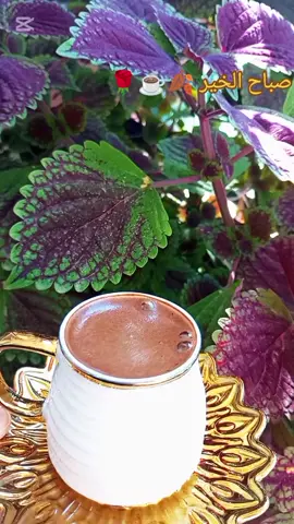 اغنيه فيروز حبيتك نسيت النوم يا خوفي تنساني#صباح الخير ما فيروز#اكسبلورexplore #ازمير_هاتاي_كلس_قونية_طرابزون_دياربكر #صباحكم_أحلى_صباح 