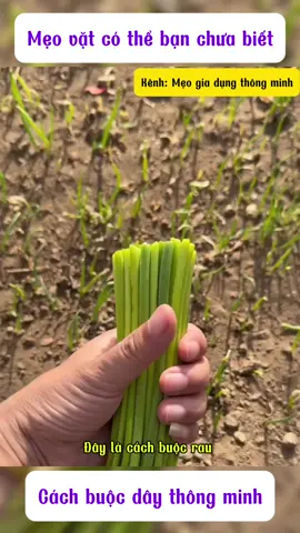 Các mẹo thắt nút thật cơ bản mà chắc chắn phải không, hãy lưu video lại và thả giúp mình nha cảm ơn cả nhà rất nhiều, chúc cả nhà xem vv😘#meovathay #meovatcuocsong #meovathuuich #tiktokviet #tiktoktrend 