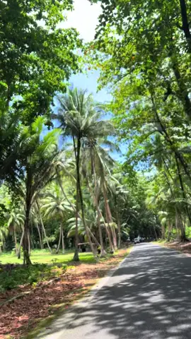 #manusisland🏝 #fyp 