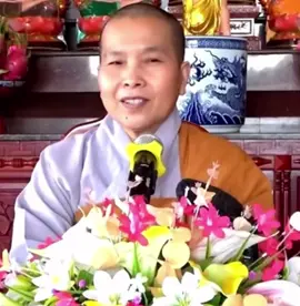 Sư Cô Như Lan #phapthoai #phatphap #suconhulan 
