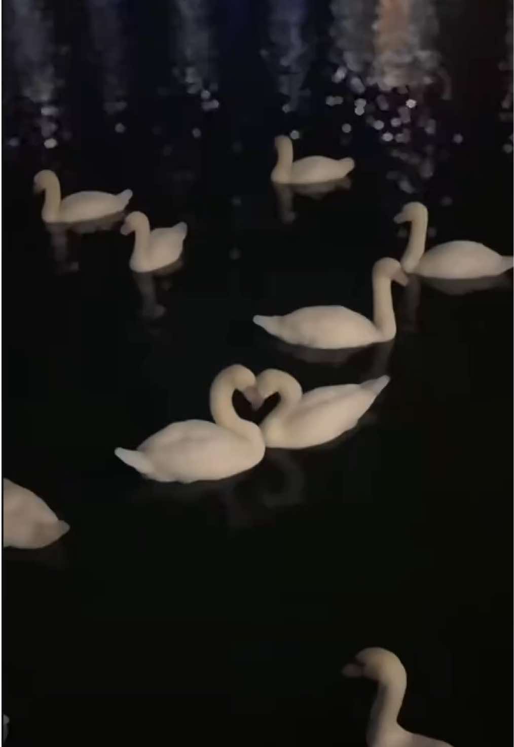 널 너무 사랑해서 