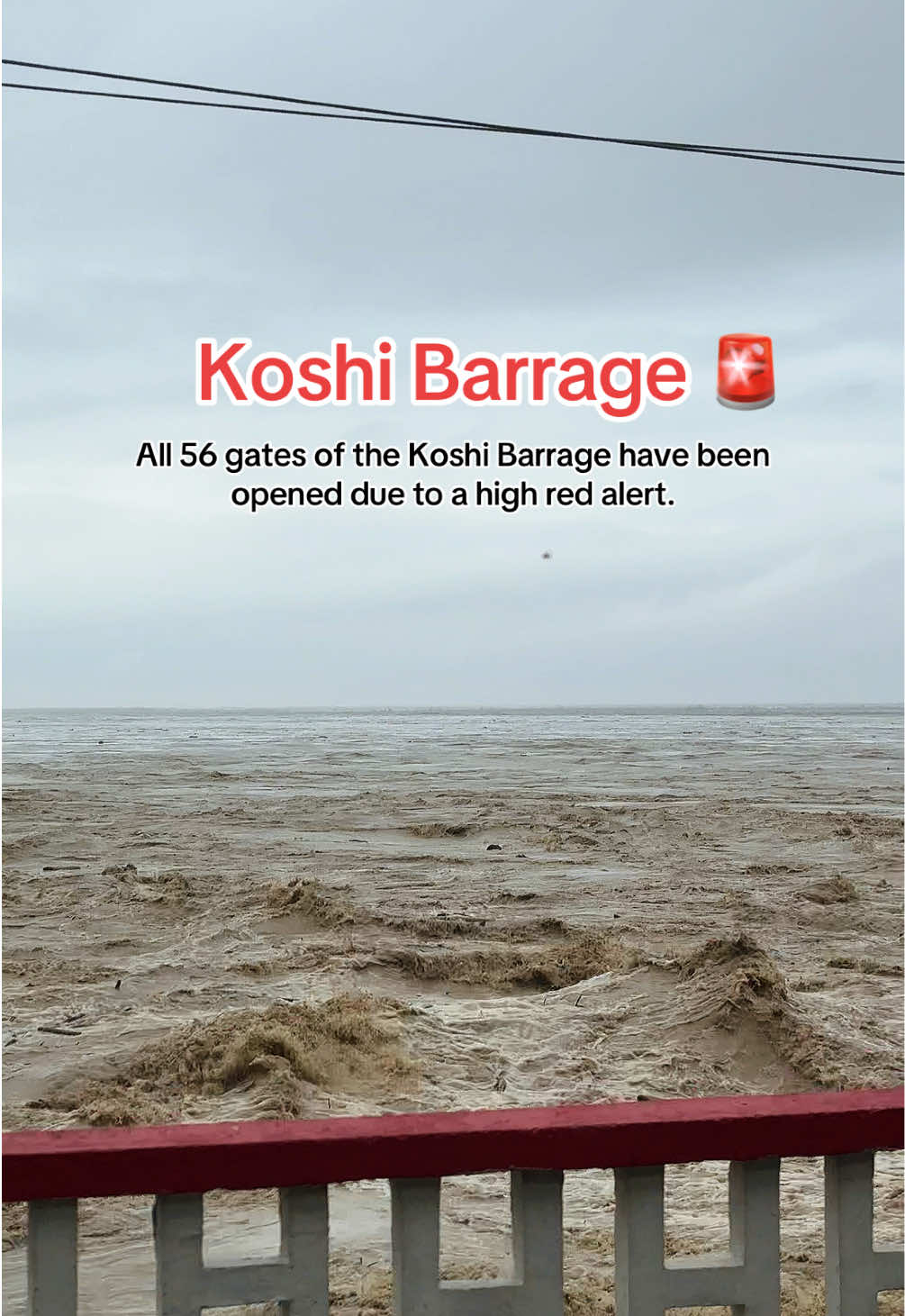 📍KOSHI BARRAGE  High red alert  #flood #koshi #rainfall #trending #staysafe 