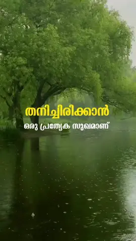 ######💙💙💙💙 