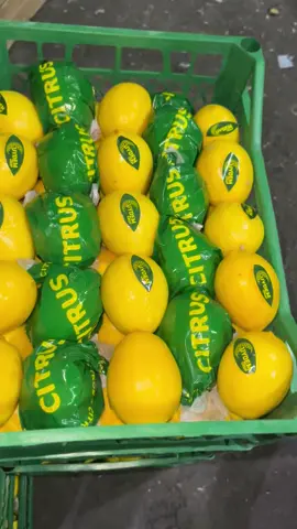 #بغداد #الكراده_المنصور_زيونه #الاميرات_المنصور_العشق❤️ #بعداد_موصل_اربيل_سلمانيه_دهوك 