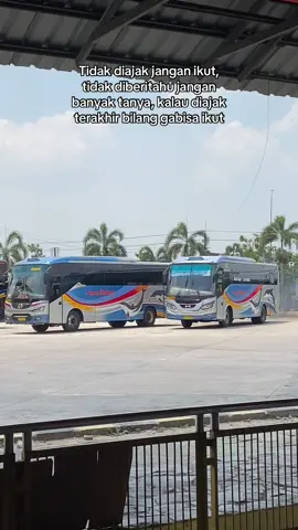 Prinsip ☺️ #fyp #viral #busjawatimuran #busjatim #sumbergroup @𝗛 𝗔 𝗟 𝗟 𝗢 𝗗 𝗘 𝗘 @Massandhi @Dapaaatok @arif_putro_ragil @Rosi Naufal 