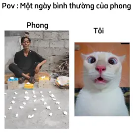 Phong lọ vương 🤯 ( cre : phongcanhtrangian2 ) #xhhhhhhhhhhhhhhhhhhhhhhh #xhtiktok #fpyシ #trending #memestiktok 