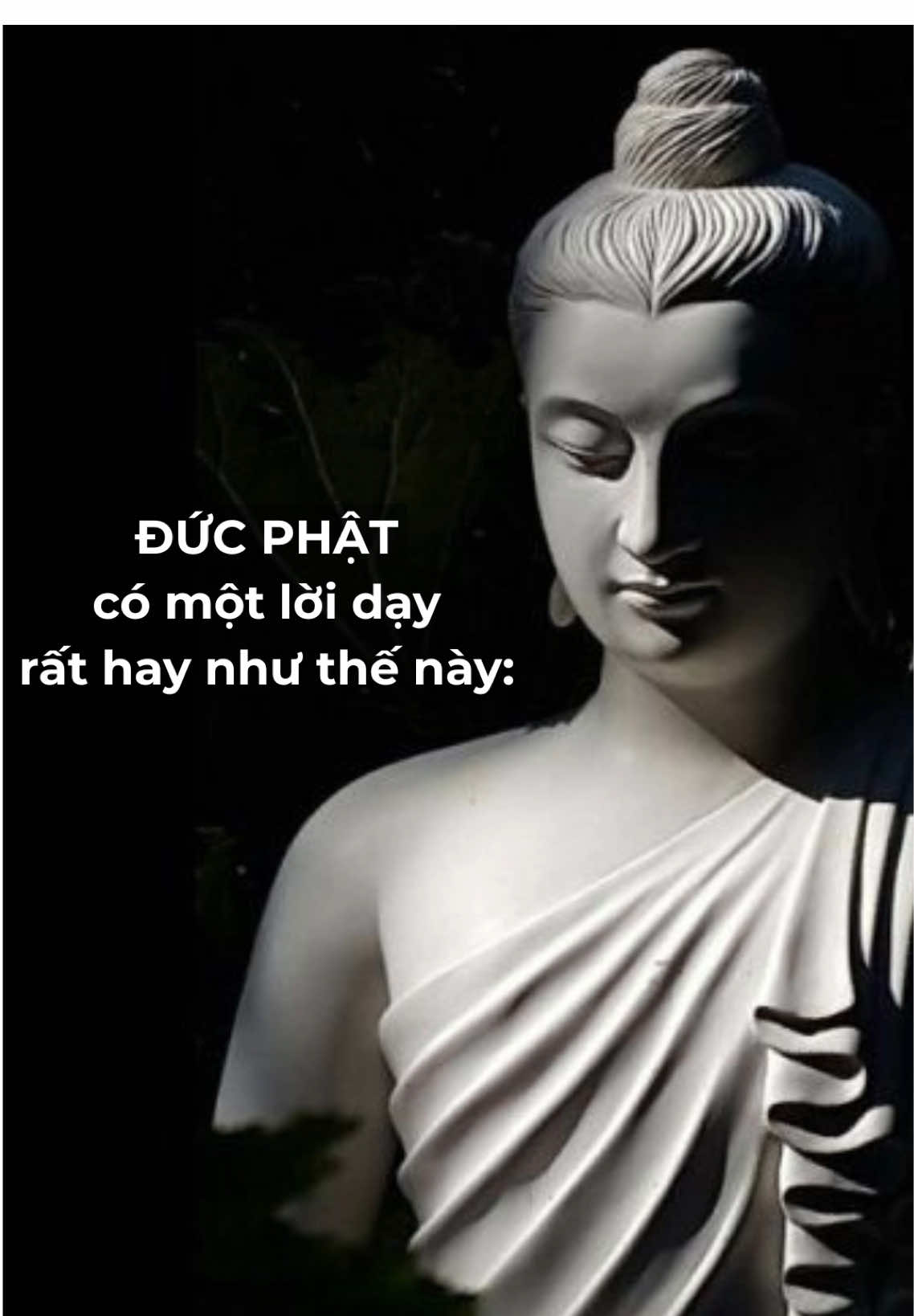 Không có cuộc gặp gỡ nào là vô tình #phatphap #loiphatday #phatgiao #anlacphap 
