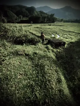 黄水恒:生活并不总是美好的，“要想看到彩虹，就得接受风雨……！”Cuộc đời không phải lúc nào cũng đẹp,