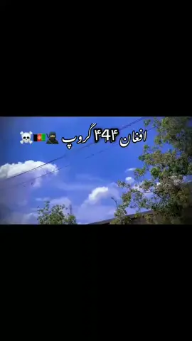 444 group  #tiktokviral @🇵🇬𝐁𝐎𝐒𝐒𝟒𝟒𝟒🇵🇬 #foryoupage #pleaseunfrezzemyaccount 