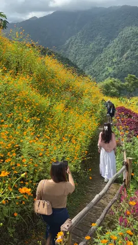 သီတင်းကျွတ်ရုံးပိတ်ရက်ဆိုတော့ လူစည်ကားနေရောပေါ့ဗျာ ✌🏻 😍 #myanmartiktok  #kalaw  #fyp  #foryou  #ရောက်ချင်တဲ့နေရာရောက်👌 