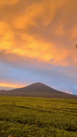 Sunset di 4 Oktober spektakuler banget 😘#kayuarokerinci #kerinci_jambi_indonesia #gunungindonesia 