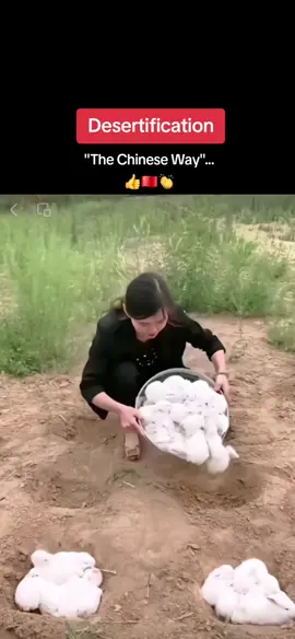 Desertification 