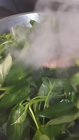 sound nya siapa ini 😂😂#sayurkangkung 