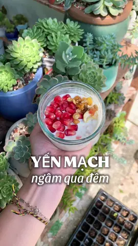 Ngon 🤤#yenmach #overnightoats #yenmachcanmong #eatclean #chamkhuu 