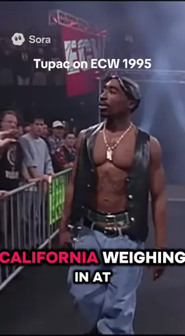 #WWE #wrestling #ecw #rap #hiphop 