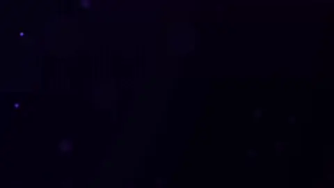 Tháng 12 Có Anh x Chỉ Là Anh Không Biết #nhachay #nhacremix #pđtmusic #thang12anhco 