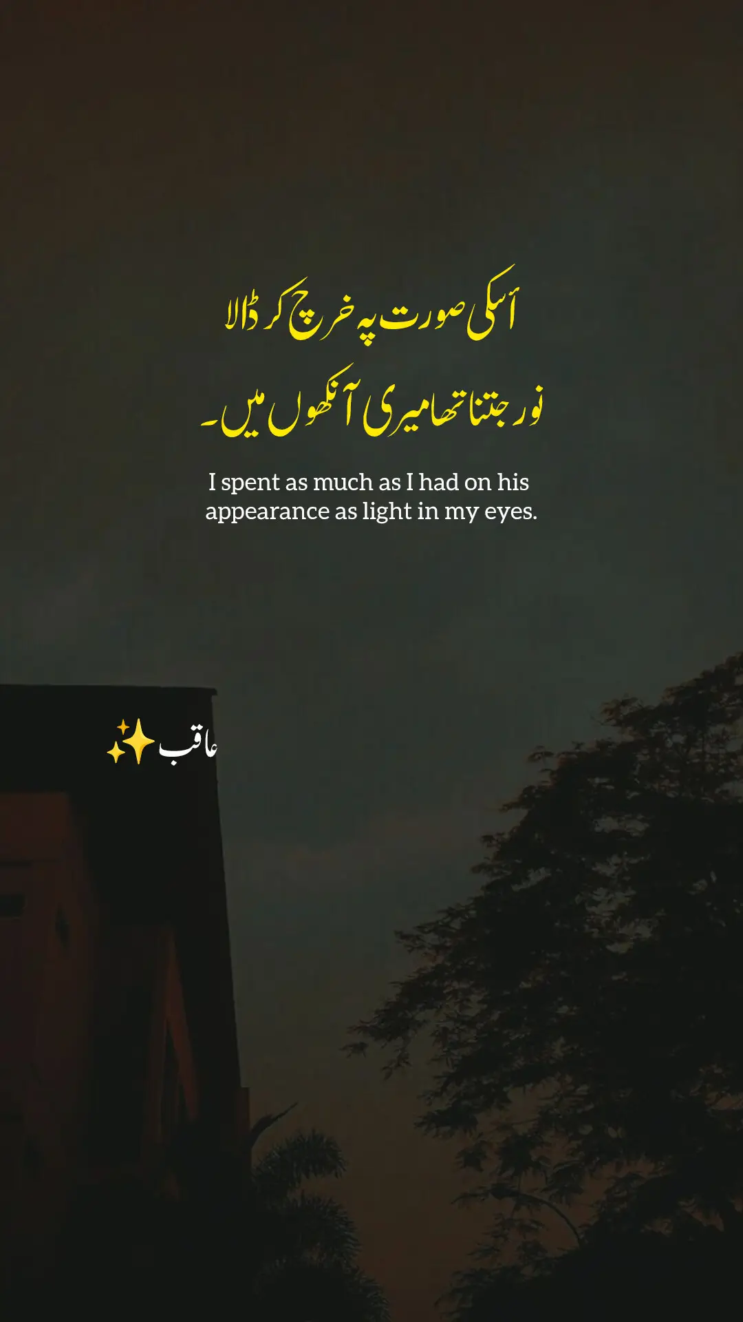 جب اُس کی صورت دیکھی، تو لگا جیسے آنکھوں نے اپنی روشنی لٹا دی ہو۔ اب منظر تو بہت ہیں، مگر نظر میں وہ چمک باقی نہیں رہی۔ جتنا نور تھا، اُسی پہ قربان ہو گیا — اب تو آنکھیں بھی اُسی کی تصویر مانگتی ہیں ہر پل، ہر خواب میں۔ 💔✨#DardBhariBaat #SadLines #HeartBroken @cute bacha 