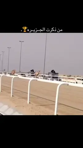 ‏#دويتو مع @الملتاع للهجن📸. #هجن_الشحانيه 